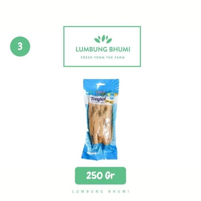 

Gdh DELTA Ikan Tongkol Siap Saji 250 Gr 1 Pcs - Lumbung Bhumi