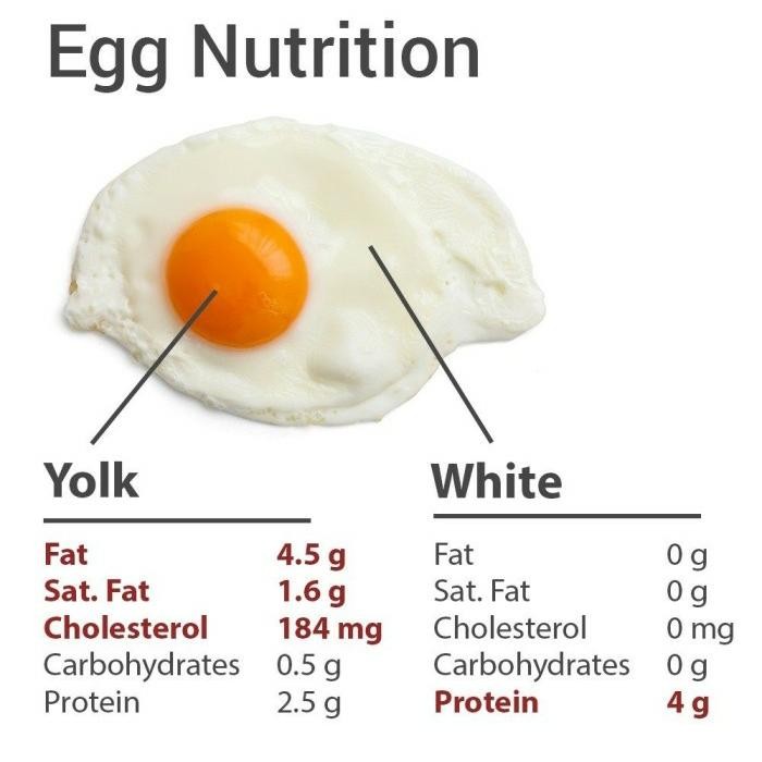 

Ger Putih Telur Pasteurisasi / Egg White Liquid