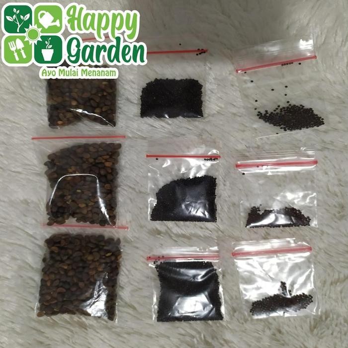 PAKET BIBIT TANAMAN SAYUR HIDROPONIK LENGKAP