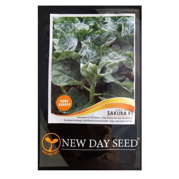 

Benih Bibit Sayur Kailan Sakura F1 2gr New Day Seed Sayuran Hidroponik