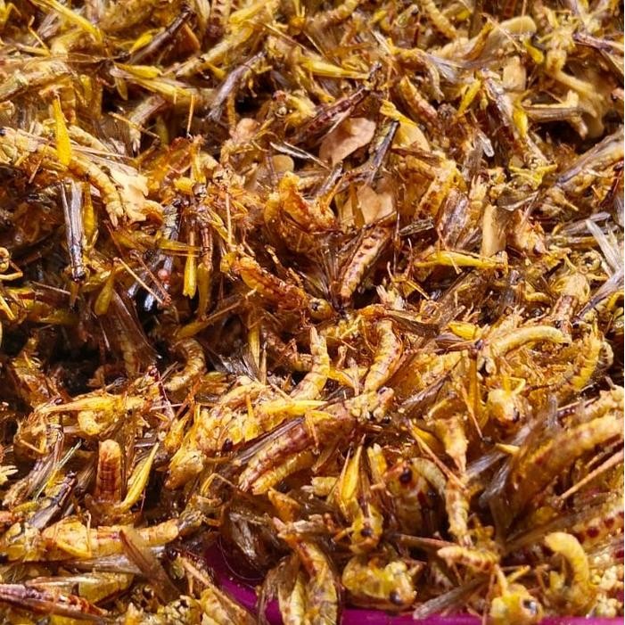 

Belalang goreng kecil kemasan 1/4 Kg snack food cemilan enak berprotein tinggi kriuk kriuk Asin