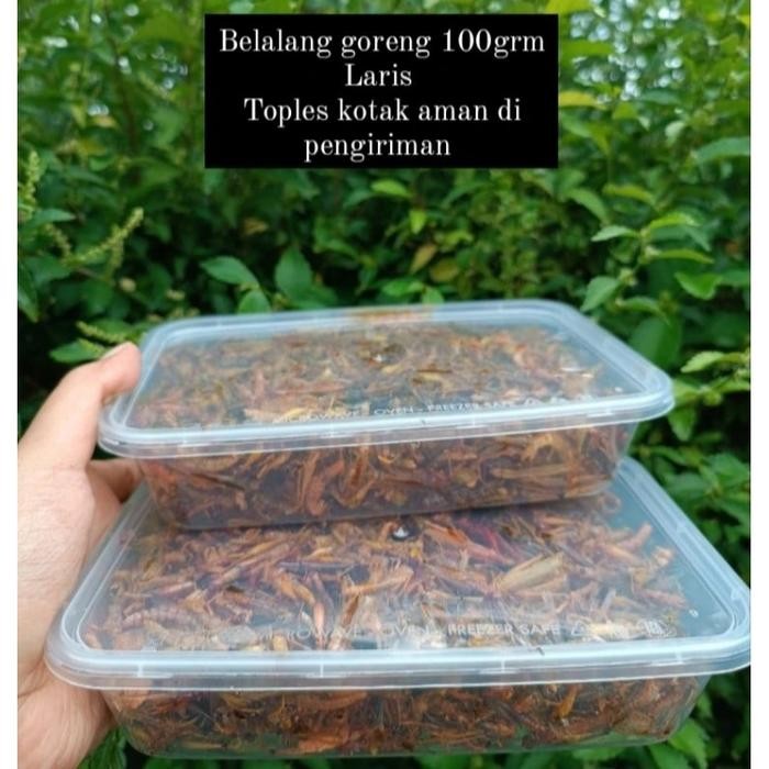 

belalang goreng utis kemasan box 4 varian rasa 100 rb 5 box halal plastik crisps & puffed snacks