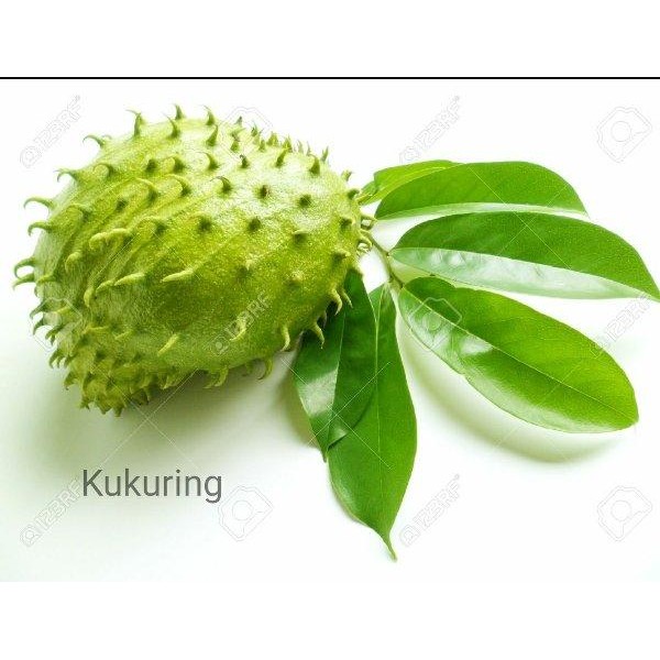

[Fresh] DAUN SIRSAK SEGAR 500gr