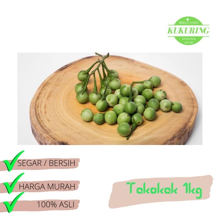 

[Fresh] Buah Takokak 1kg Cepokak Terung Pipit Segar Solanum Torvum Obat Mata