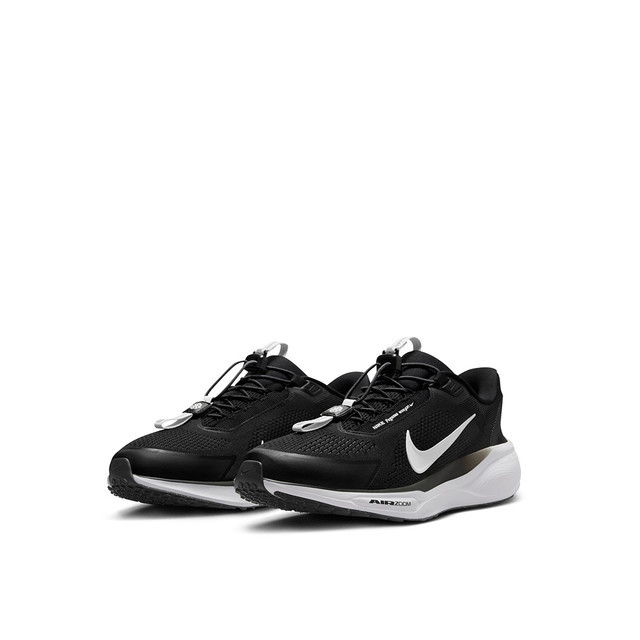 Nike Pegasus EasyOn Running Shoes Pria