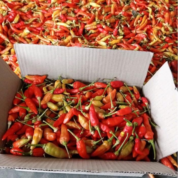 

Cabai Rawit Merah Bumbu Cabai Pedas Spices Chili