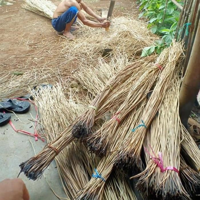 akar manon dekorasi , akar manon kering