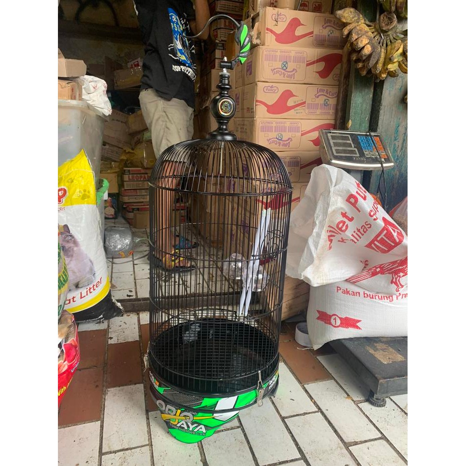 sangkar lovebird pvc oriq concept