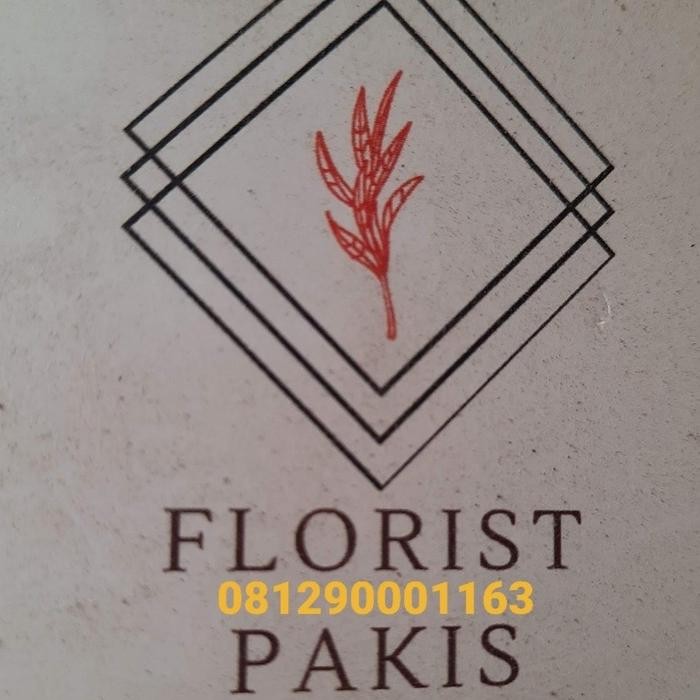 jual tanaman bahan bonsai mame beringin korea