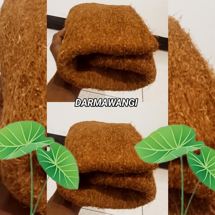 

Sedia DW super - olahan daun talas kering - super premium Keripik