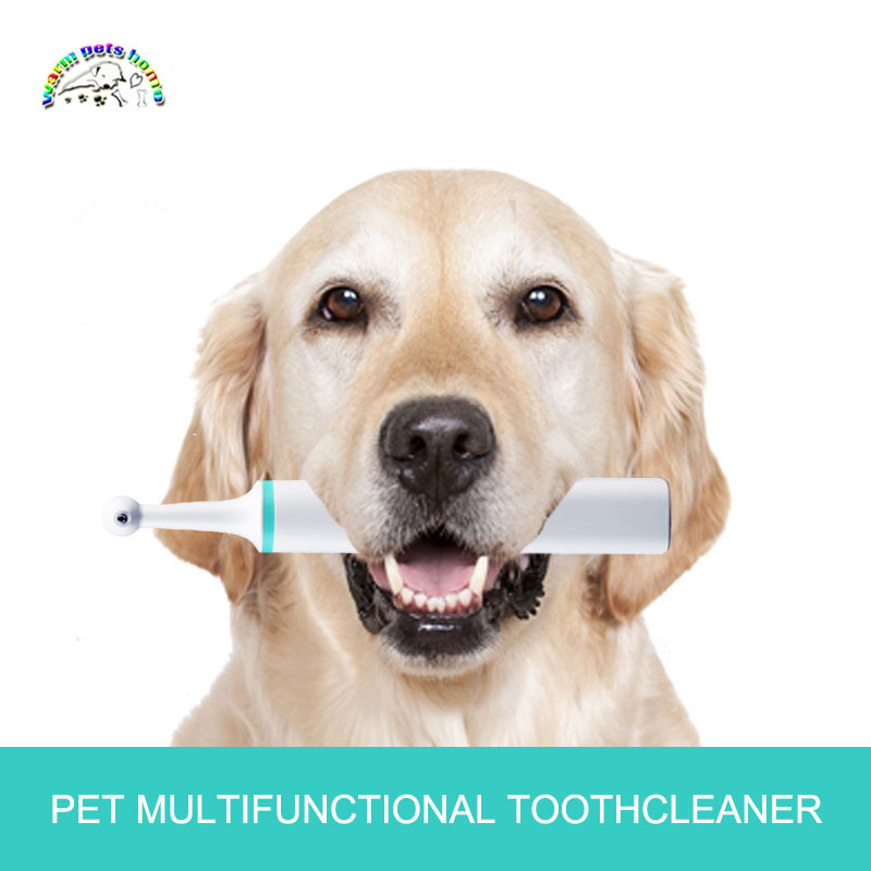 BARU  Electric pet dog tooth brush polisher cat dog oral cleaning plaque stain tartar tool pet white