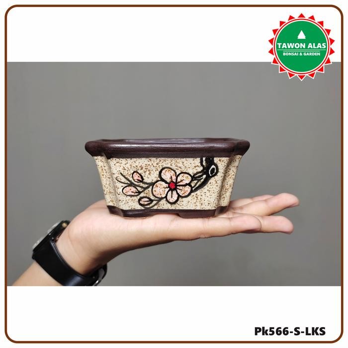 Pot Bonsai Keramik Segi Empat Bagus Kecil Small Mini Mame