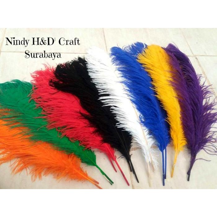 

AT Bulu Kasuari Small 30cm - Bulu ostrich murah - bulu ostrich surabaya