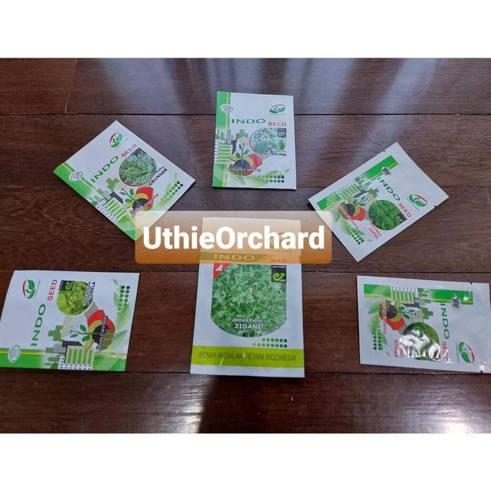 Benih Enza Zaden - Butternut (Labu Madu) Jacqueline F1 Kemasan Repack