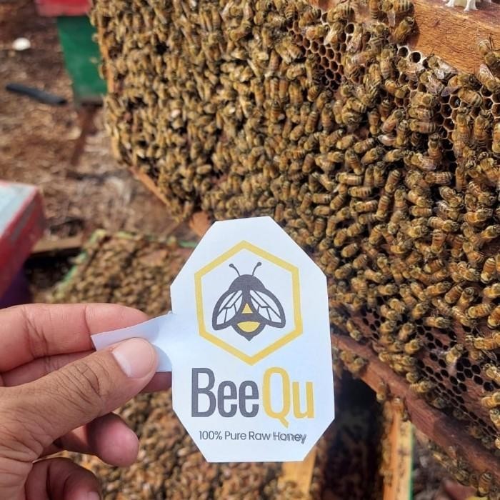 

Madu Murni Akasia Carpa Riau - Beequ Honey
