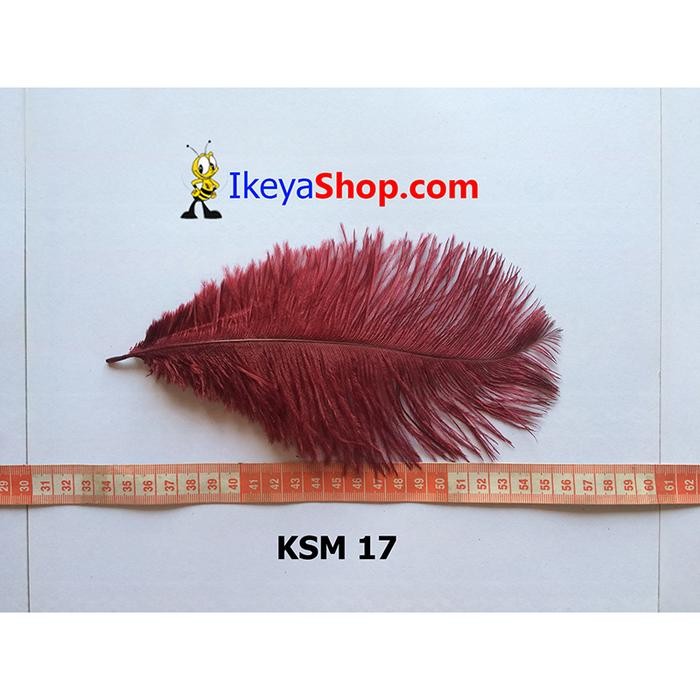 

AT Bulu Kasuari Medium Maroon (KSM 17)