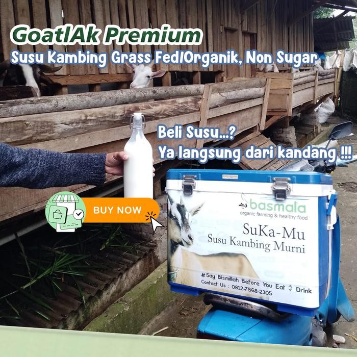 

(Expert) Basmala Farm - GoatlAk Premium Susu Kambing Etawa Tanpa Gula Tambahan Susu Organik Non