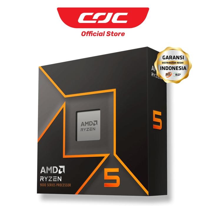 AMD Ryzen 5 9600X e Ridge AM5