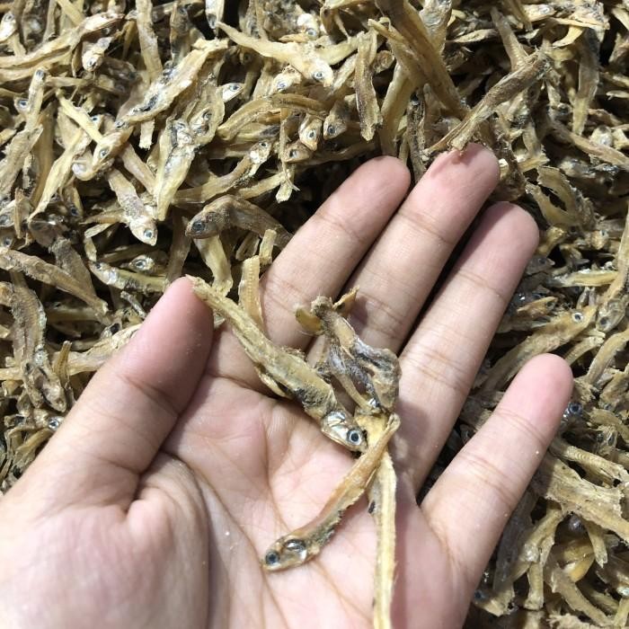 

(Expert) TERI TAWAR GRADE A SUPER MURAH 100GR