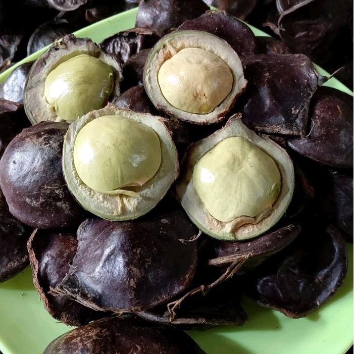 

New jengkol muda/jengkol lalap berat 500gram_1000 gram