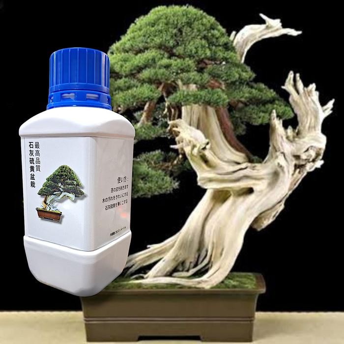 Lime Sulfur Bonsai Premium Import Jepang Putih Cerah 60Ml