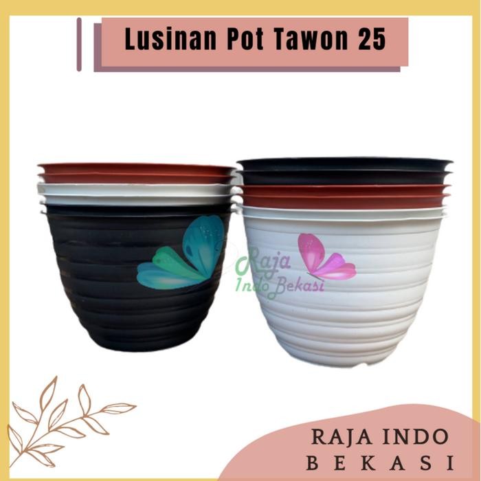 Raja Indo Grosir 1/2 Lusin Pot Tawon 25 / Pot Tanaman / Pot Bunga