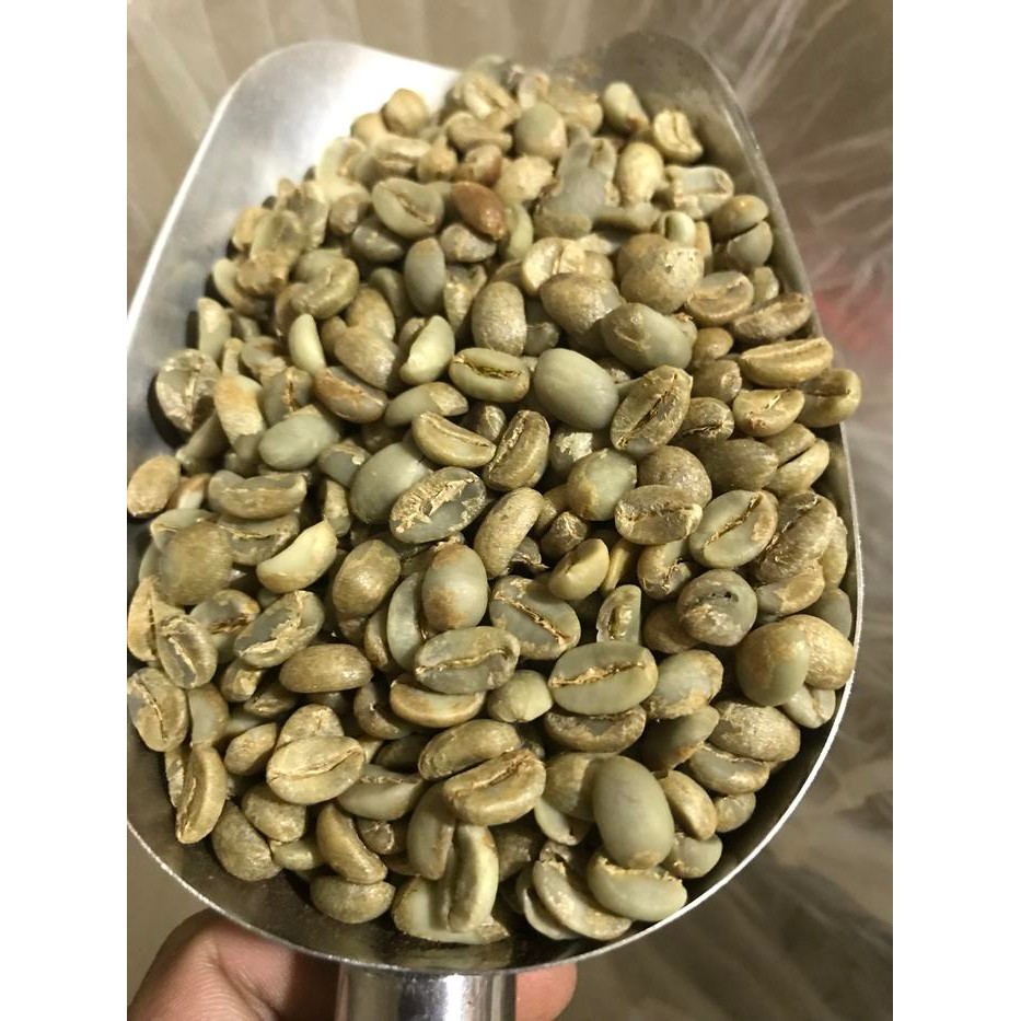 

Greenbean Arabika Sumedang Honey 1Kg #Gratisongkir #Sale #Discount