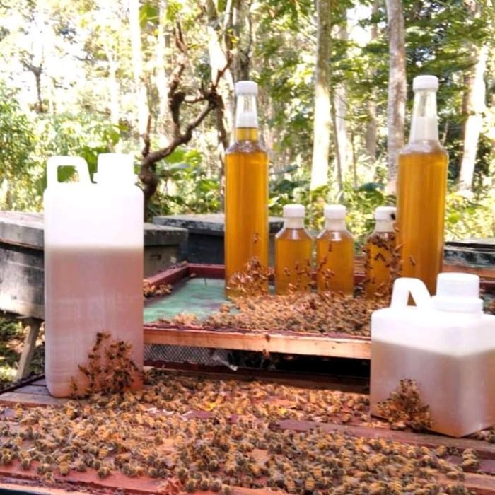 

Madu Ternak, Pure Honey 1 Kg