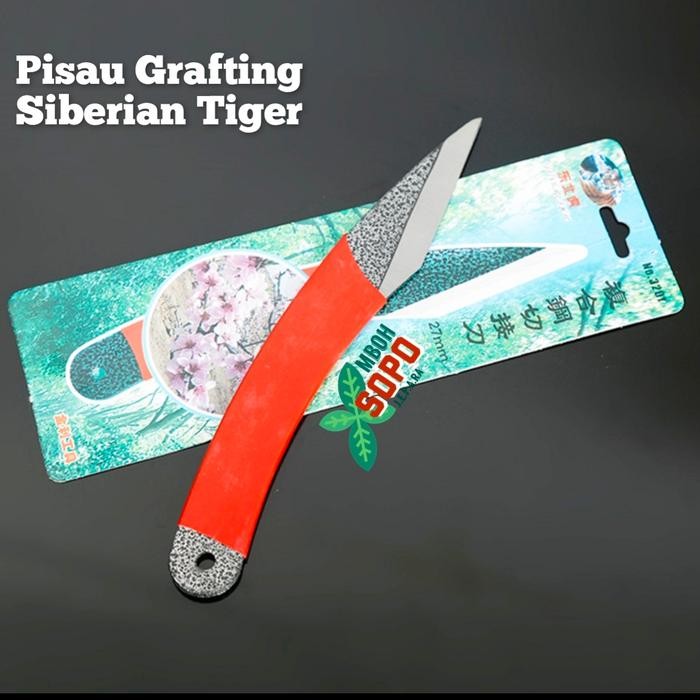 Alat Bonsai Berkebun, Pisau Grafting Siberian Tiger Peralatan Berkebun