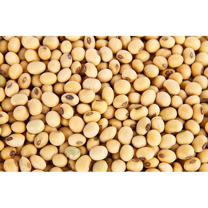 

(Expert) KACANG KEDELAI IMPORT USA 1 KG