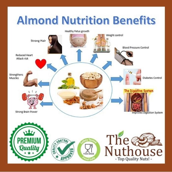 

(Expert) Almond Whole Premium RAW / Kacang Almond Mentah Utuh NPX 27/30