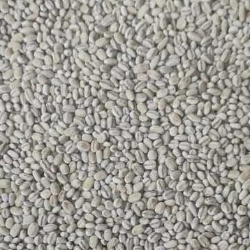 

(Expert) 1kg Pearl Barley / Biji Jali - Jali [Natural Organic]
