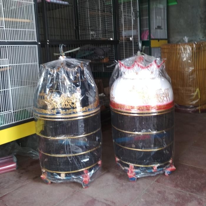 Kandang burung perkutut mahkota kereta kencana