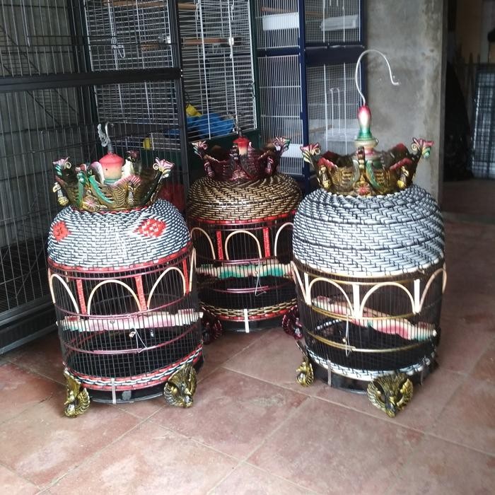 Kandang burung perkutut rotan mahkota anyaman sentetis warna