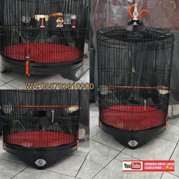 SANGKAR MURAI EBOD JAYA NO 2 DAN NO 1 LENGKAP