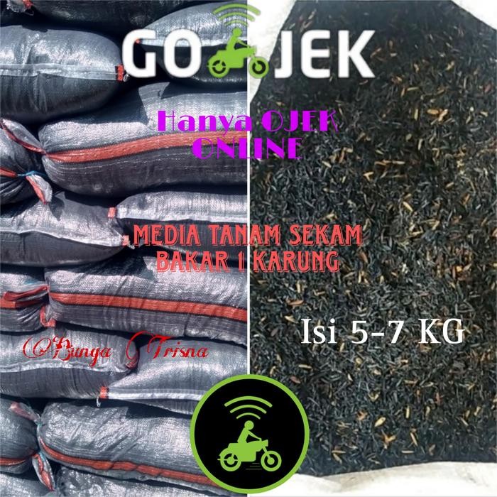 Media tanam sekam bakar karungan / sekam bakar padi