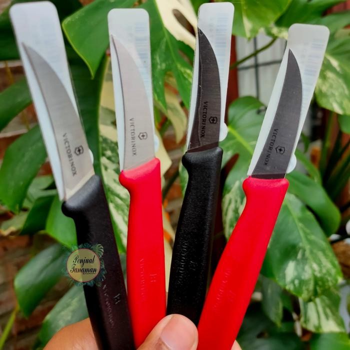 pisau victorinox original (pisau potong tanaman/grafting/okulasi)
