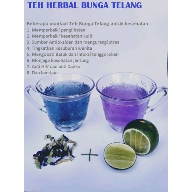 

Teh Bunga Telang Organik Segar Butterfly Pea Tea Premium