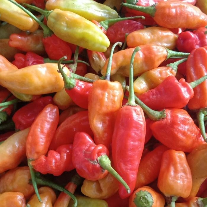 

New cabe rawit merah 1kg