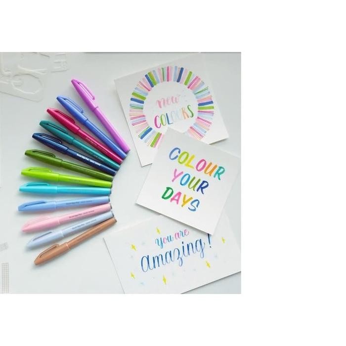 

pentel touch brush pen (new color)