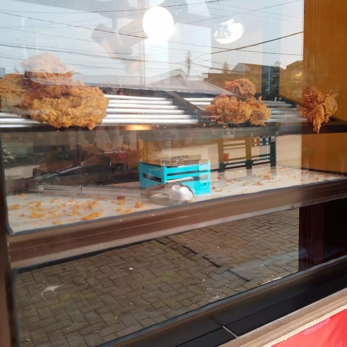 penghangat gorengan ayam fried chicken food warmer