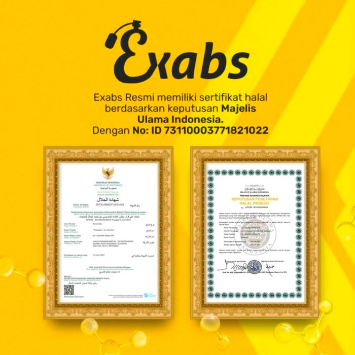 (Expert) exabs premium