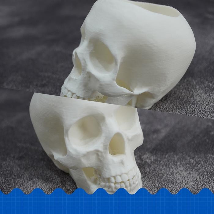 tempat pensil wadah sendok sikat gigi vas bunga unik bentuk tengkorak kode 496