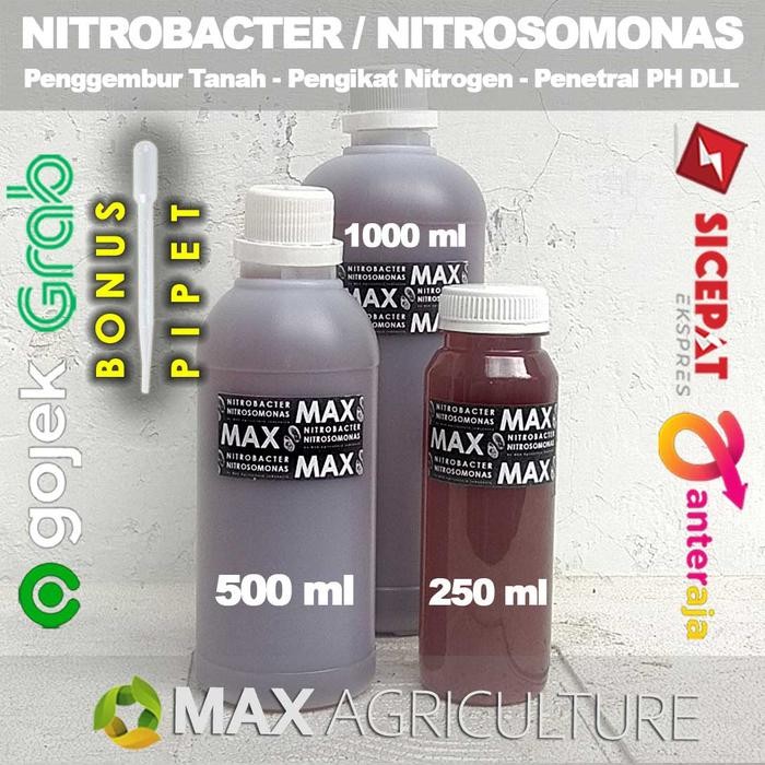 OSS8 Biang Nitrobacter Nitrosomonas Pertanian Tanaman Pembenah Tanah 1000Ml