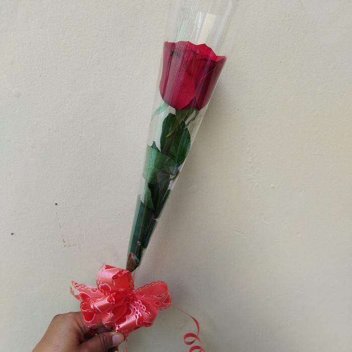 bunga mawar asli 1 tangkai