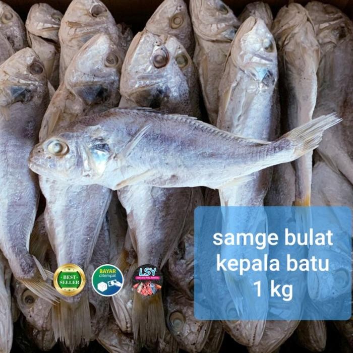 

IOI2 Ikan Asin Samge / Kepala Batu 1000Gram / 1 Kg