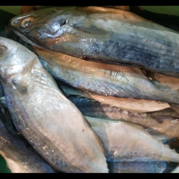 

3YC3 Ikan Asin Peda Putih 250Gr