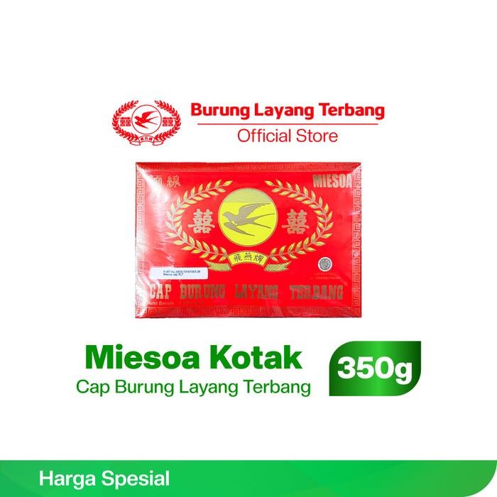 

H48Y Miesoa Kotak Burung Layang Terbang