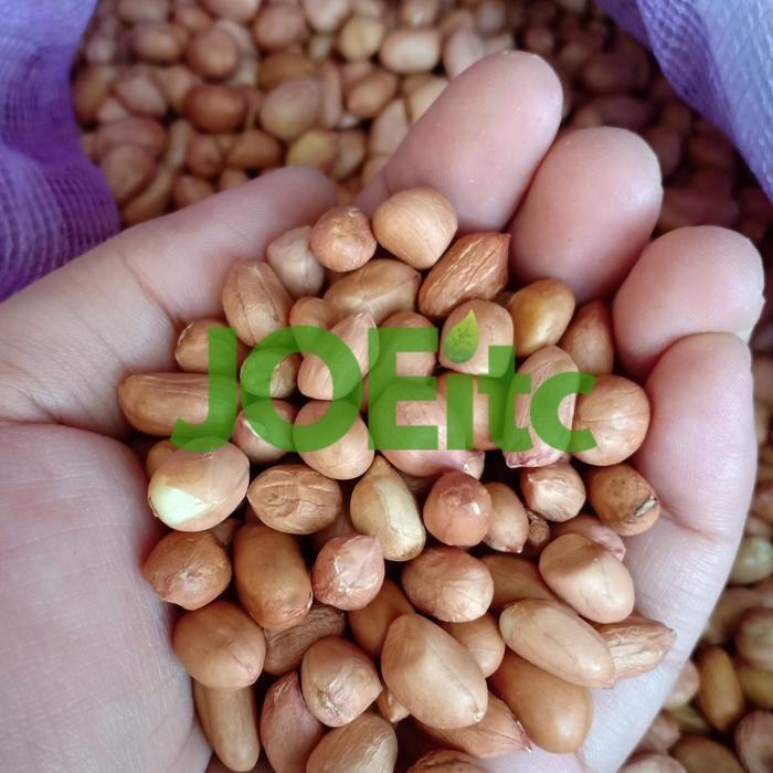 

KACANG TANAH BERSIH KUALITAS BAGUS BERAT 1KG