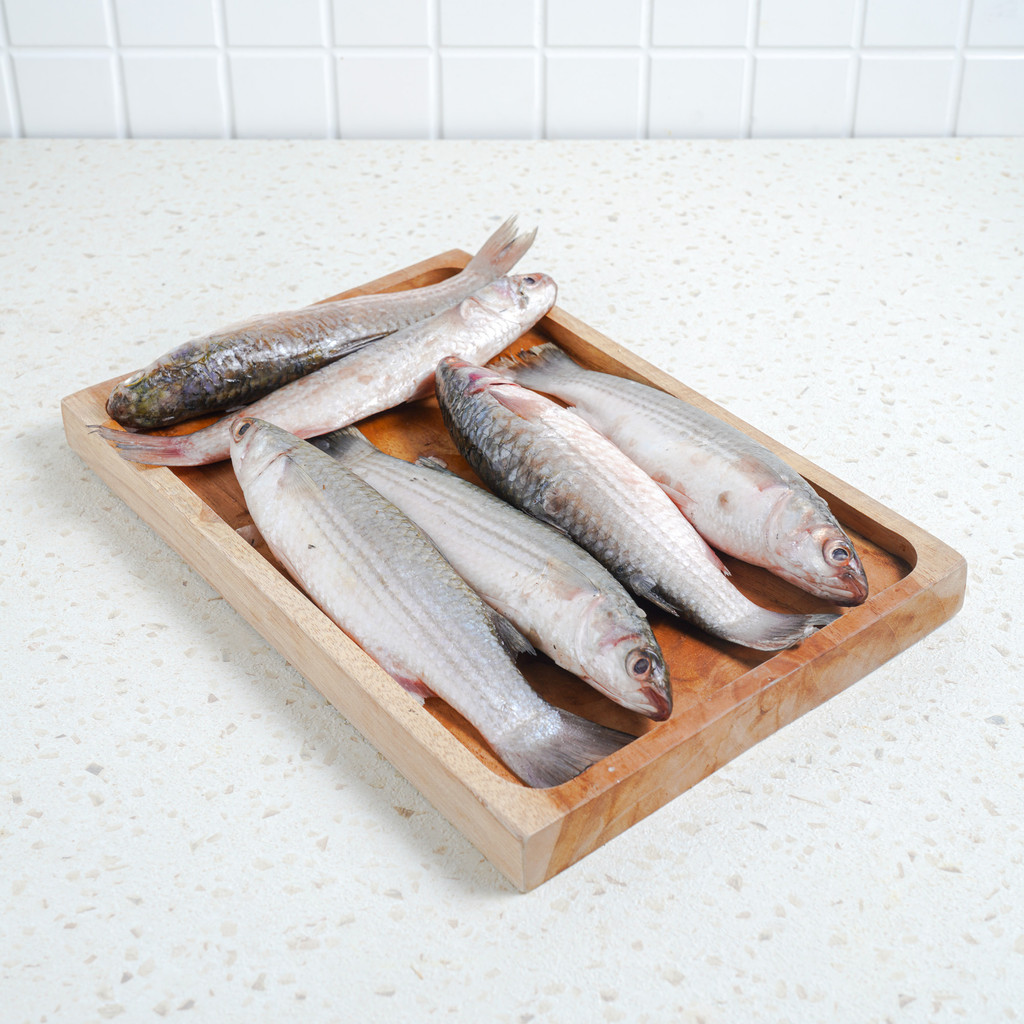 

Ikan Belanak 500 gram